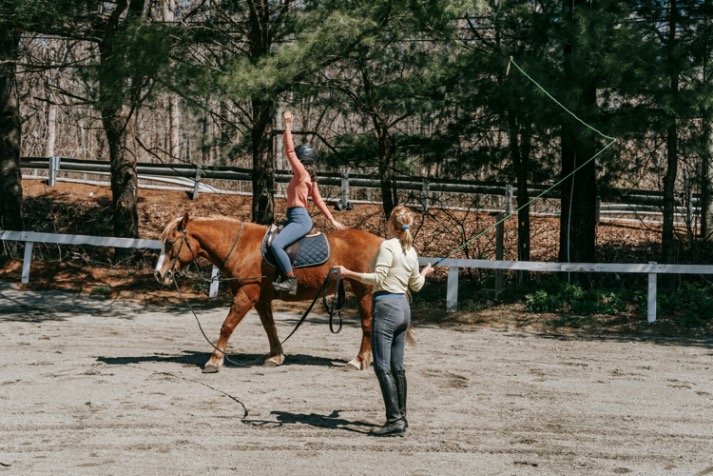 Horseriding Course for Beginners